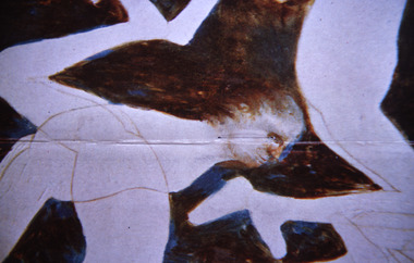 Slide, Robin Boyd, 1968