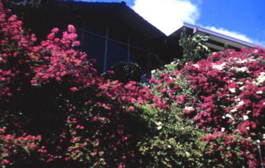 Slide, Robin Boyd, 1971