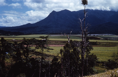 Slide, Robin Boyd, 1966