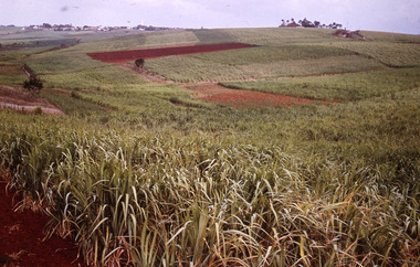 Slide, Robin Boyd, 1966