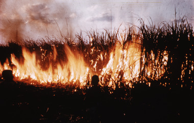 Slide, Robin Boyd, 1966