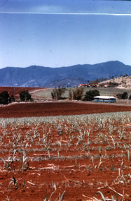 Slide, Robin Boyd, 1966