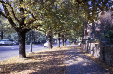 Slide, Robin Boyd, 1967