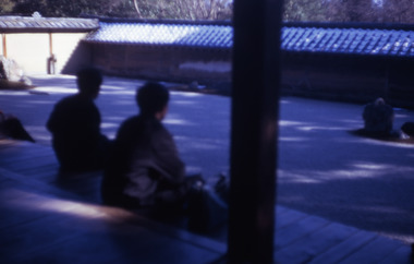 Slide, Robin Boyd, 1970