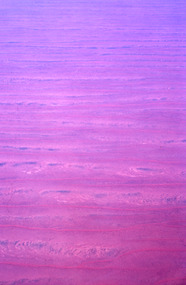 Slide, Robin Boyd, 1966
