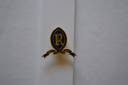 school crest badge in blue and gold enamel