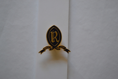 school crest badge in blue and gold enamel