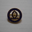 A circular metal lapel badge with a school crest in the centre.