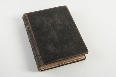 Bible, Holy Bible, 1885