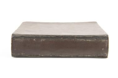 Bible, Holy Bible, 1885