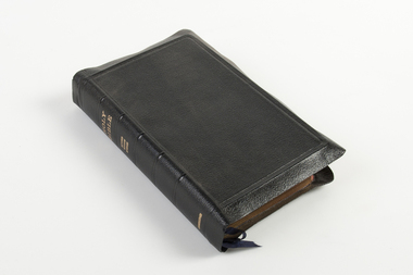 Book - Bible, Cambridge, Holy Bible Revised Version in Verses