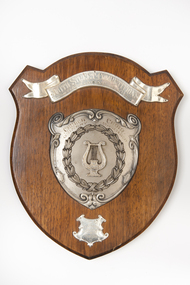 Wooden Shield