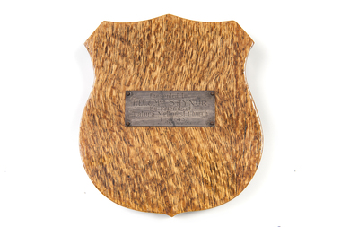 Shield