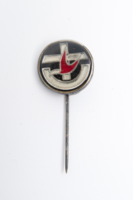Pin