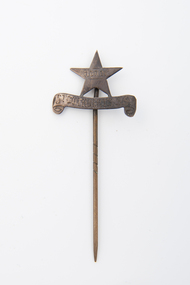 Pin