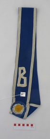 Regalia, Ray's Birthday Sash