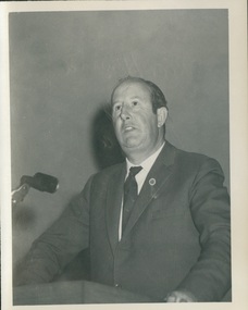 Photograph, Undated; c. 1970s-80s