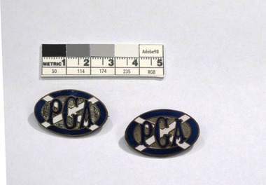 Badge