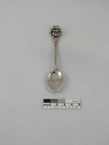 Souvenir teaspoon