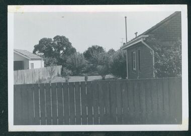 Photograph, undated c.1973