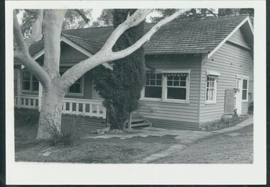 Photograph, 1984