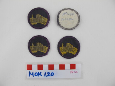 Award - Merit Badges