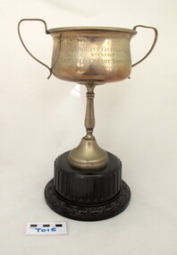 Award - Trophy