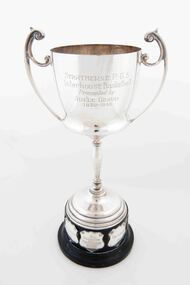 Award - Trophy