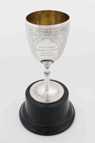 Award - Trophy