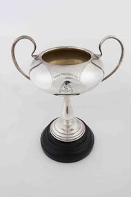 Award - Trophy