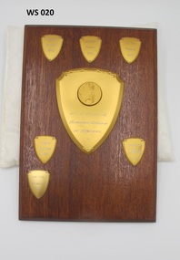 Award - Wooden Shield