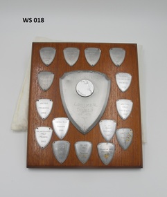 Award - Wooden Shield