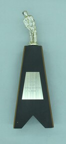 Award - Trophy