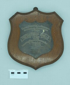 Award - Trophy, 1929