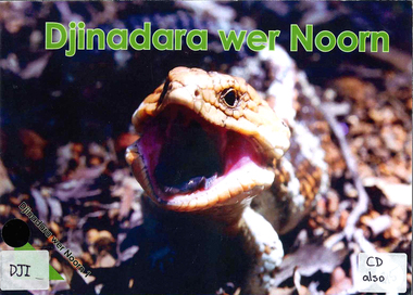 Book, Djinadara wer Noorn 1, 2009