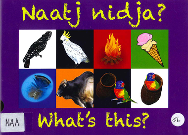 Book, Naatj nidja? = what's this?, 2011