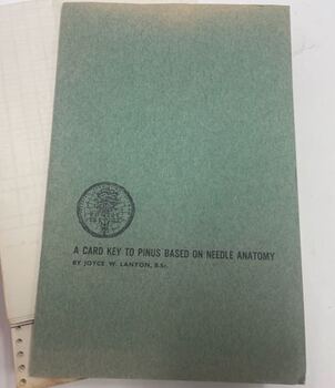 A Card Key to Pinus Based on Needle Anatomy