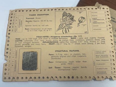 Card Sorting Key - card reverse side
