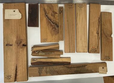 Wood samples used in lectures and teaching 