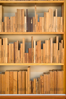 Wardle wood collection