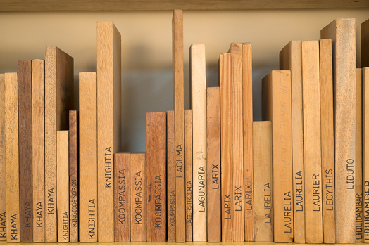 Wardle wood collection