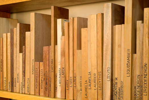 Wardle wood collection