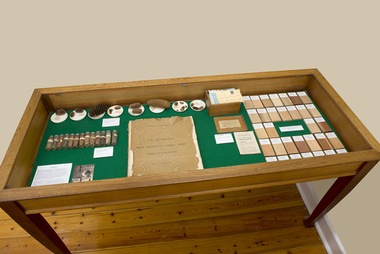 Furniture - Display table, 1910