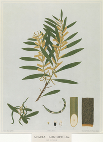 Sample, 1877-1970