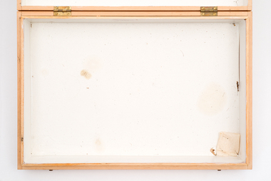 Animal specimen - VSF Entomology Collection