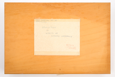 Animal specimen - VSF Entomology Collection
