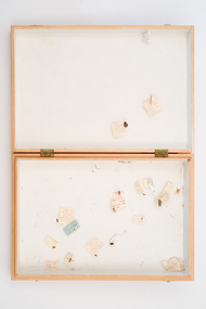 Animal specimen - VSF Entomology Collection
