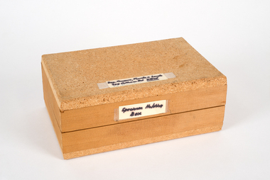 Animal specimen - VSF Entomology Collection