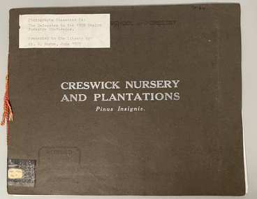 Album - Photographs presented to: the Delegates to the 1928 Empire Forestry Conference, Creswick Nursery and Plantations - Pinus Insignis, 1928