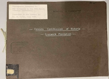 Photograph - Forests Commission of Victoria - Creswick Plantation, 3 booklets of Photographs presented to the delegates to the 1928 Empire Forestry Conference, 1928